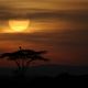 Sonnenaufgang am Mount Kenya