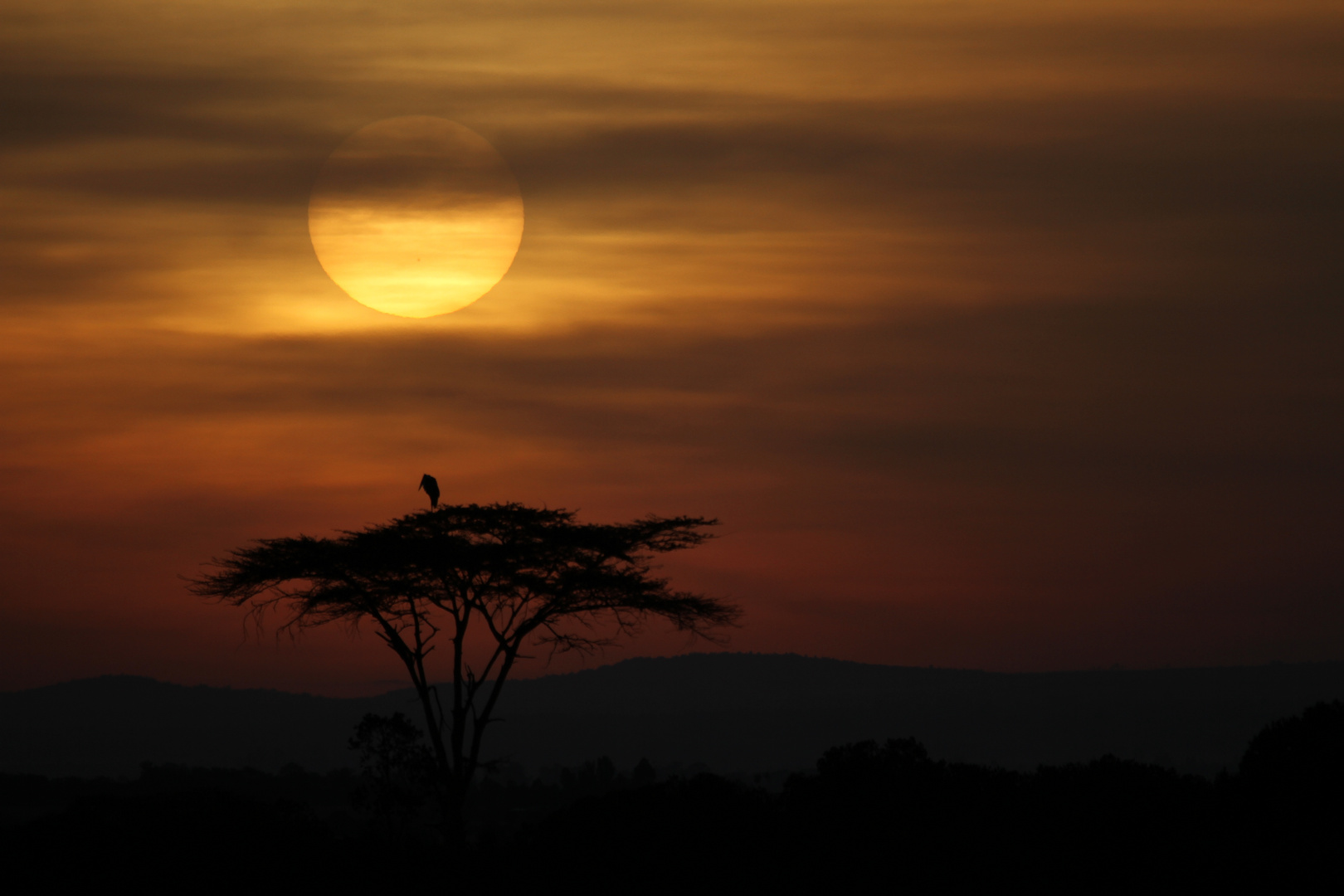 Sonnenaufgang am Mount Kenya