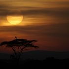 Sonnenaufgang am Mount Kenya