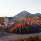 Sonnenaufgang am Mt. Bromo (2.329 m) , Java, Indonesien