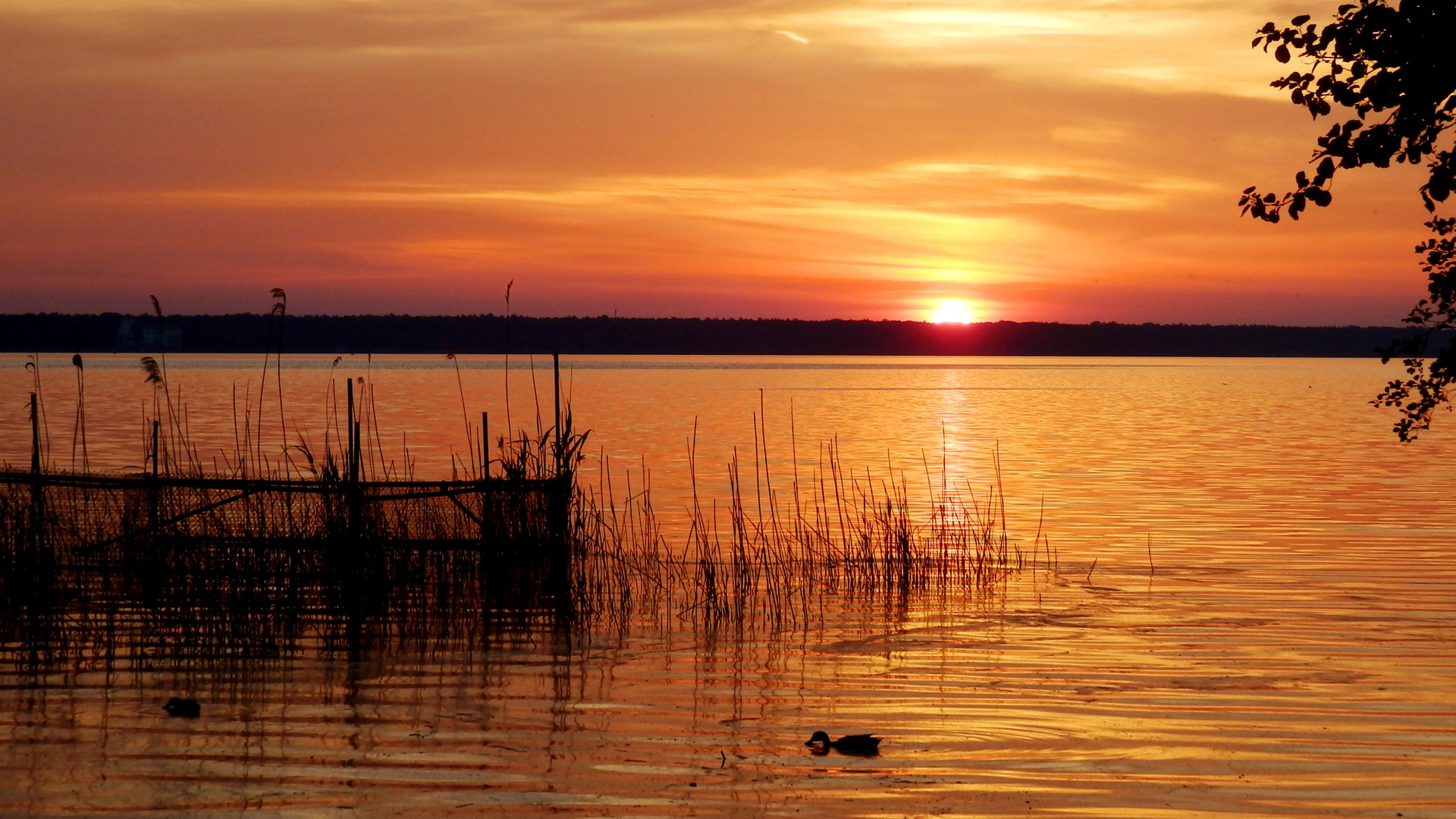 Sonnenaufgang am Müggelsee