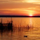 Sonnenaufgang am Müggelsee