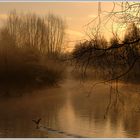 Sonnenaufgang am Mühlenbach