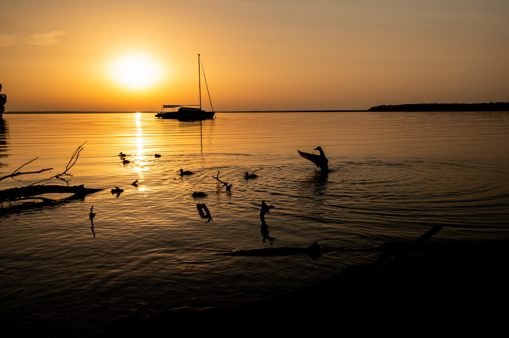 Sonnenaufgang am Müritzsee Silhouette Entenfamilie und Boot