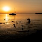 Sonnenaufgang am Müritzsee Silhouette Entenfamilie und Boot