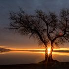 Sonnenaufgang am Murtensee 