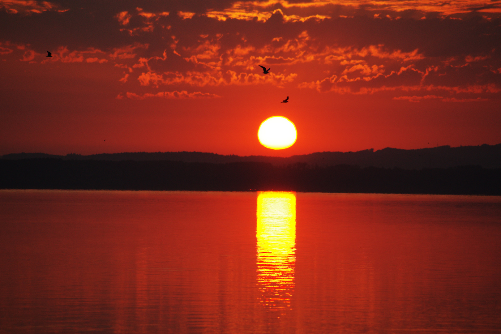 Sonnenaufgang am Murtensee