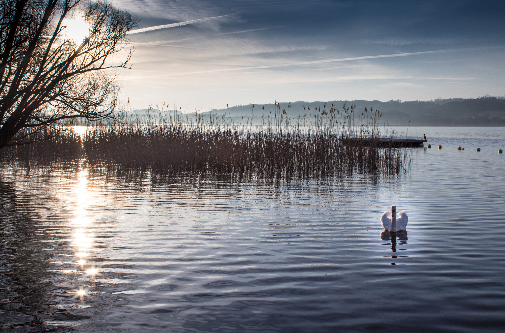 Sonnenaufgang am Murtensee mit Nebel und Schwan