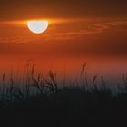 Sonnenaufgang am Neusiedler See