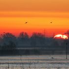 Sonnenaufgang am Niederrhein