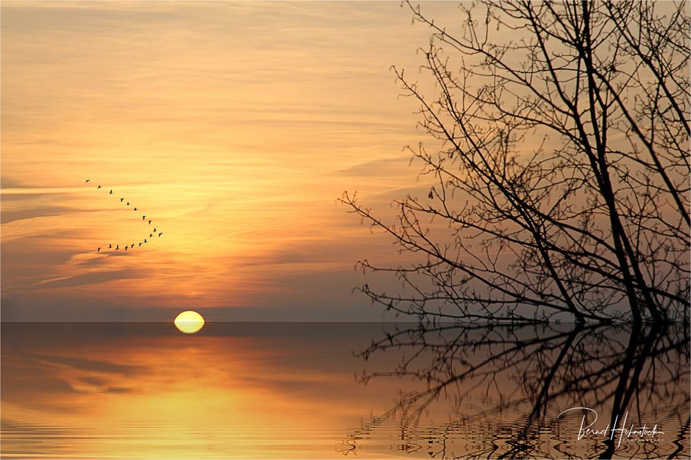 Sonnenaufgang am Niederrhein ....