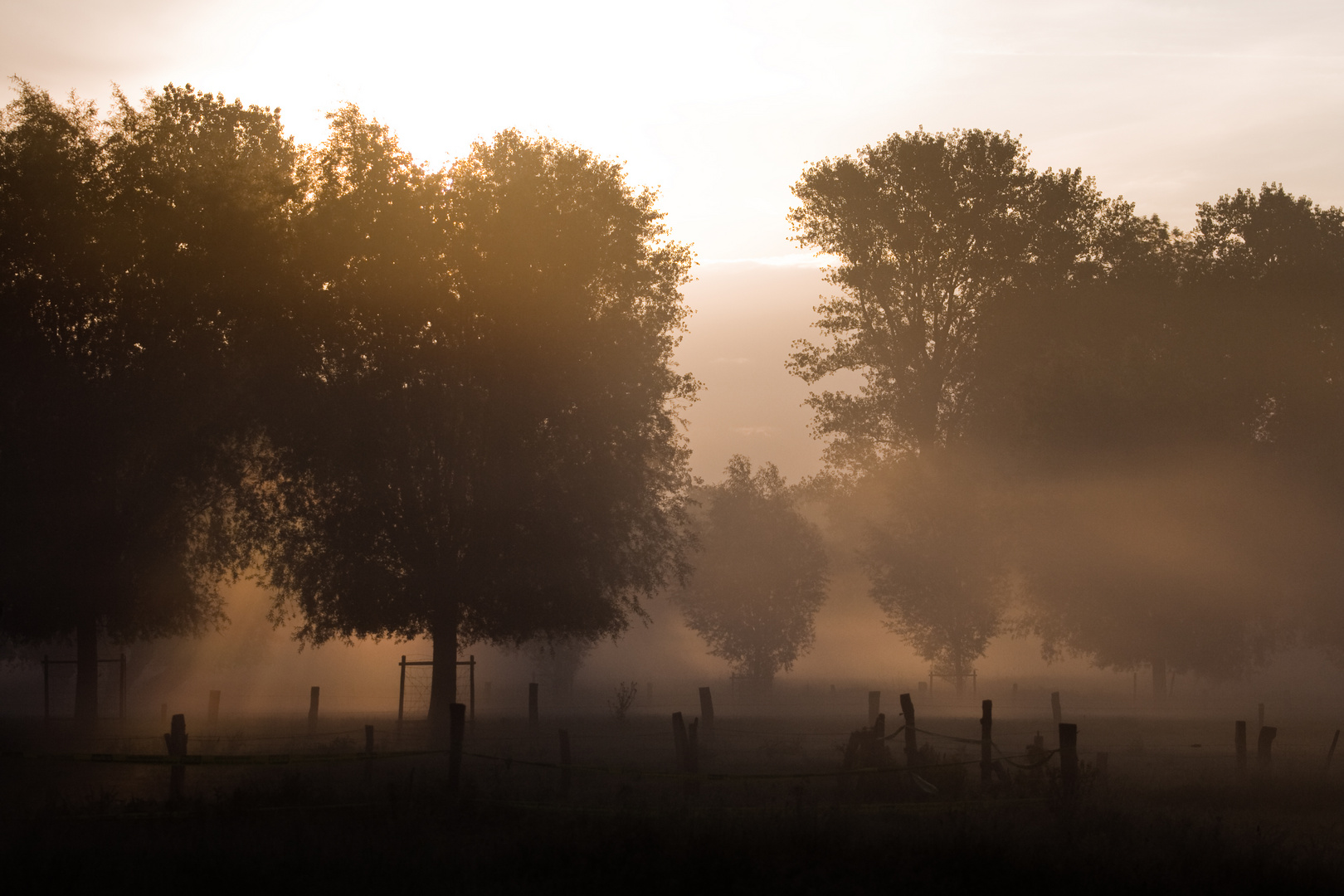 Sonnenaufgang am Niederrhein