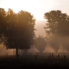 Sonnenaufgang am Niederrhein