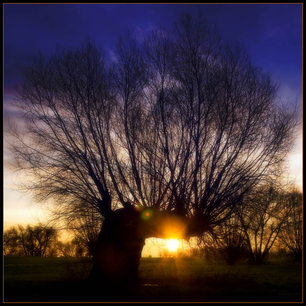 Sonnenaufgang am Niederrhein