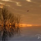 Sonnenaufgang am Niederrhein ....