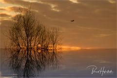 Sonnenaufgang am Niederrhein ....