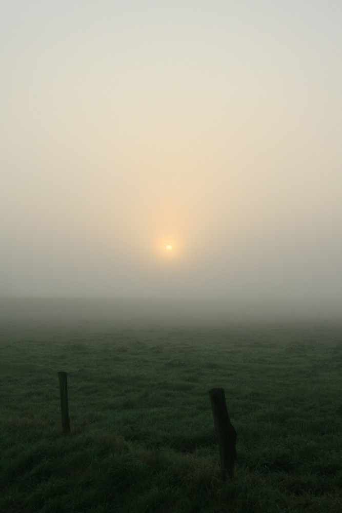 Sonnenaufgang am Niederrhein