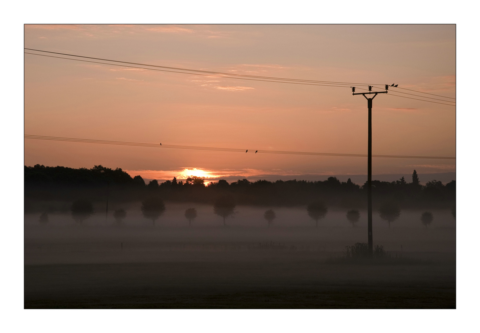 Sonnenaufgang am Niederrhein