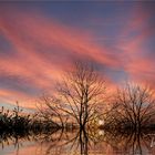 Sonnenaufgang am Niederrhein .....