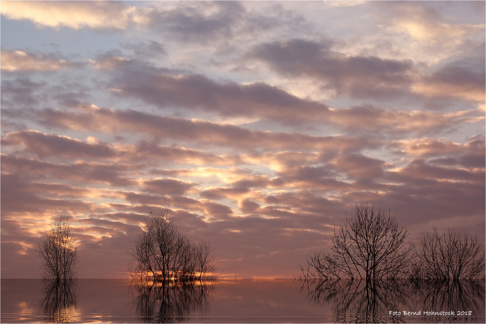 Sonnenaufgang am Niederrhein bei -10 Grad ....