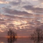 Sonnenaufgang am Niederrhein bei -10 Grad ....