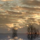 Sonnenaufgang am Niederrhein bei -10 Grad ....