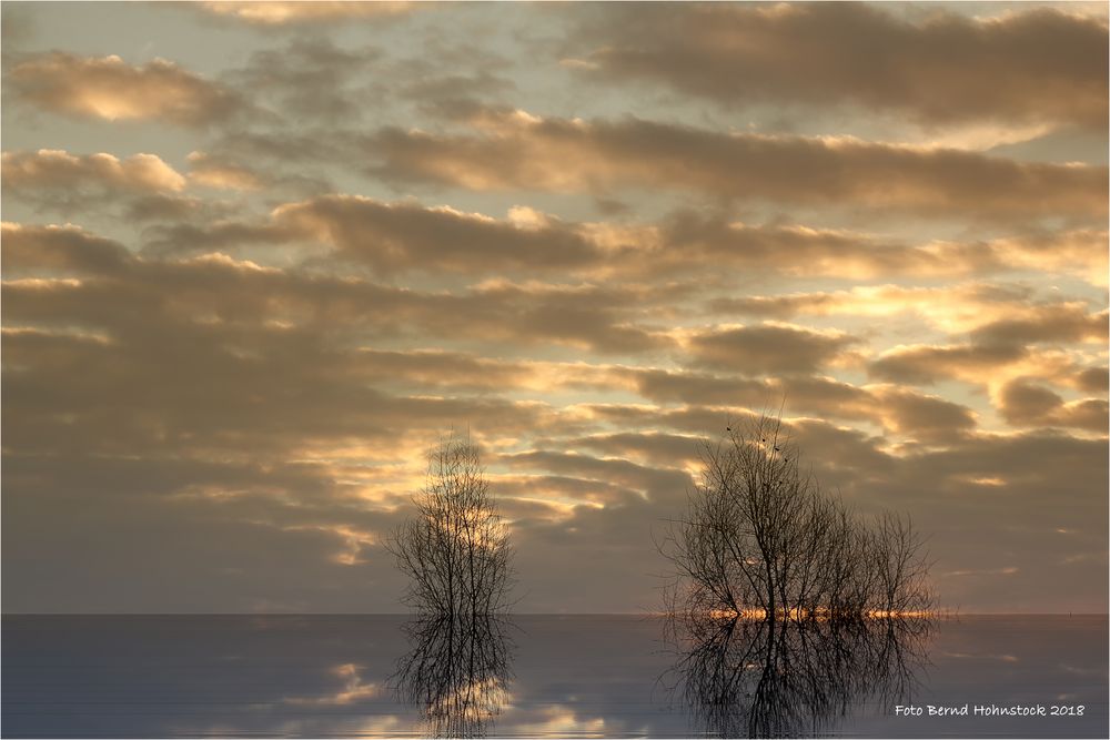 Sonnenaufgang am Niederrhein bei -10 Grad ....