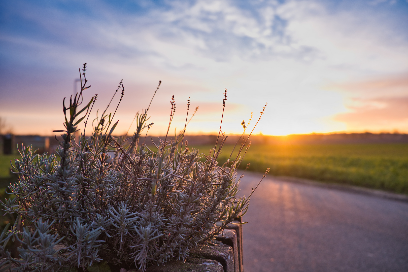 Sonnenaufgang am Niederrhein