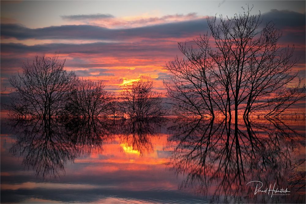 Sonnenaufgang am Niederrhein .....