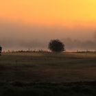 Sonnenaufgang am Niederrhein