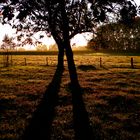 Sonnenaufgang am Niederrhein - für jung und alt . . .