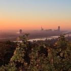 Sonnenaufgang am Nussberg, Wien