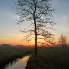 Sonnenaufgang am Oberlauf der Alster  -  sunrise at upper course of the Alster