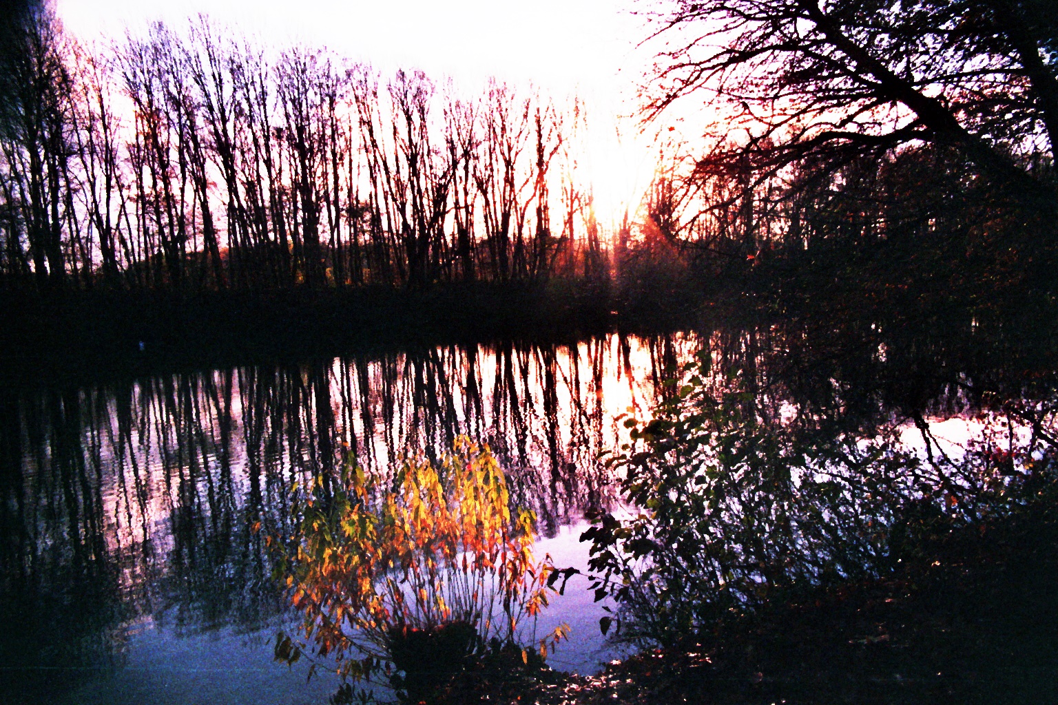Sonnenaufgang am Oejendorfer See