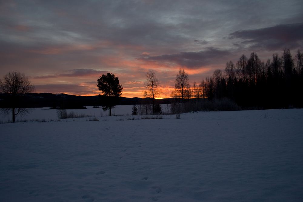 Sonnenaufgang am Övre Brocken II....