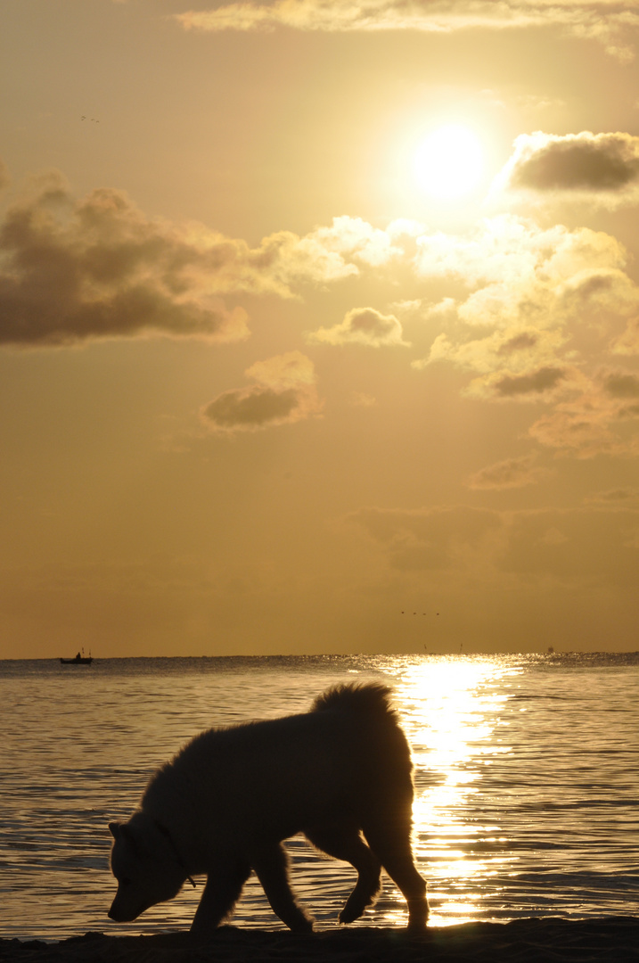 sonnenaufgang am ostseestrand auf rügen