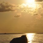 sonnenaufgang am ostseestrand auf rügen