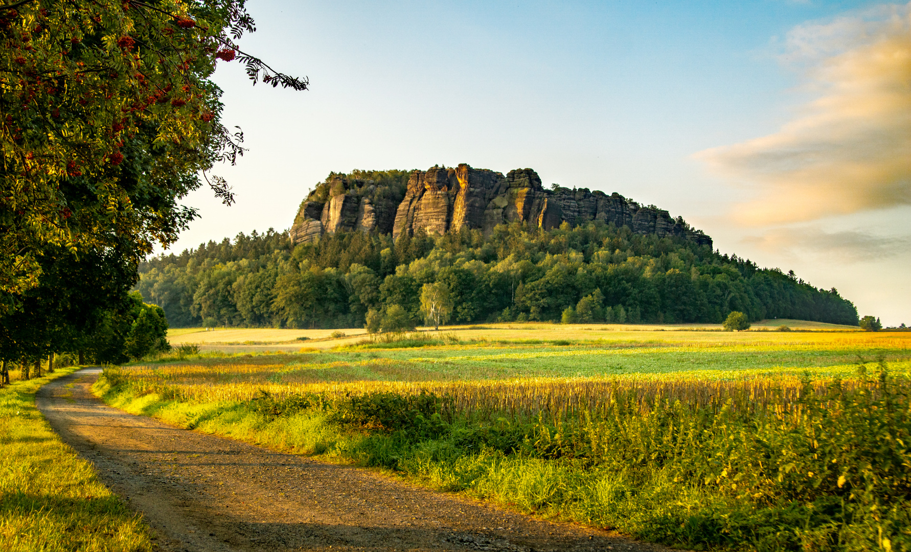 Sonnenaufgang am Pfaffenstein 