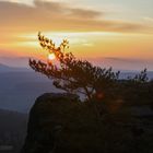 Sonnenaufgang am Pfaffenstein