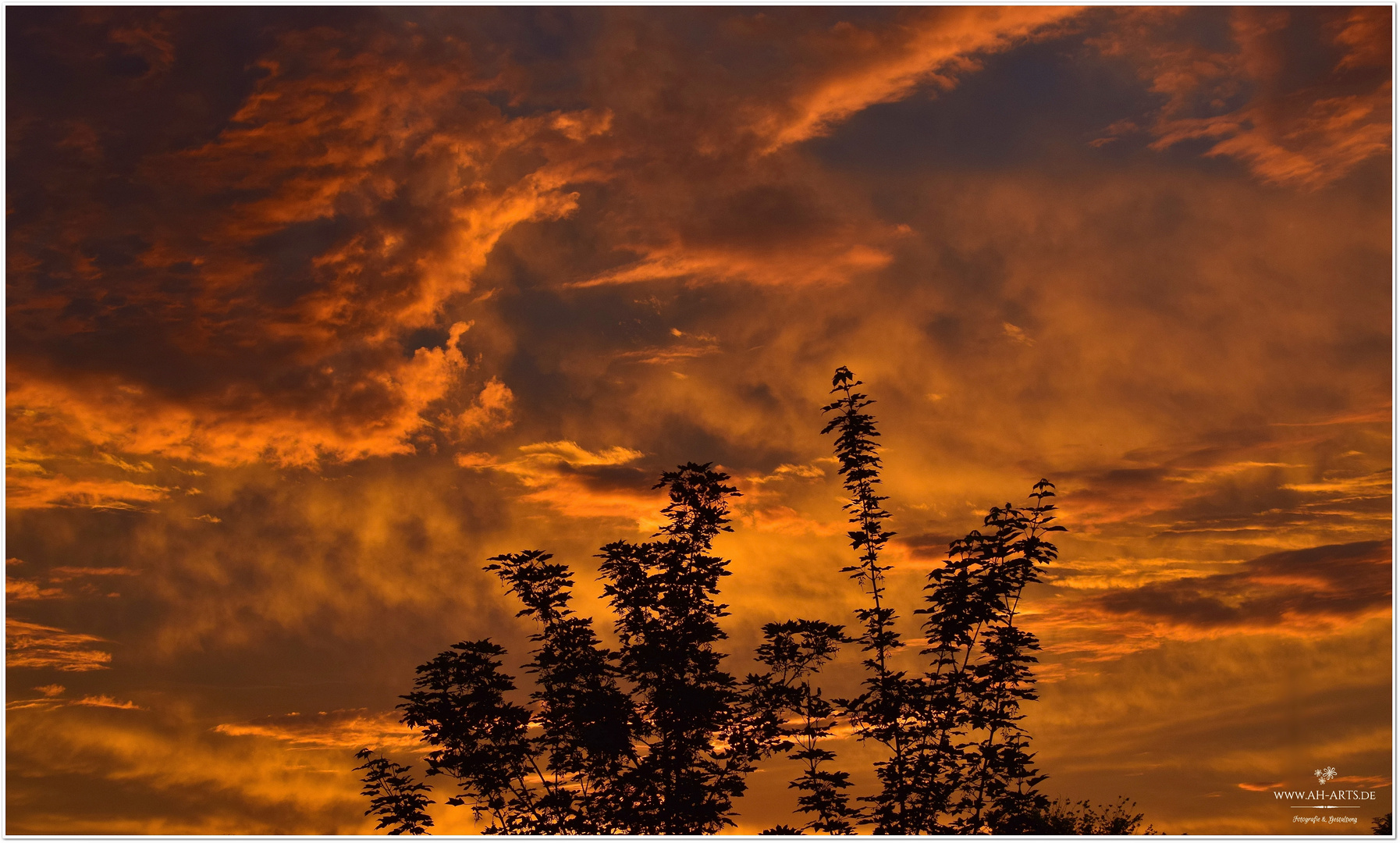 Sonnenaufgang am Pfingstmontag