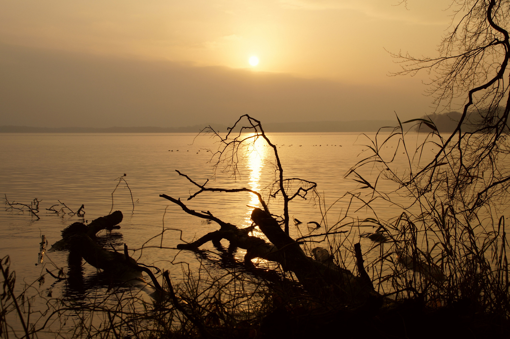 Sonnenaufgang am Plöner See