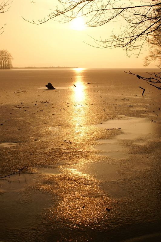 Sonnenaufgang am Plöner See 2