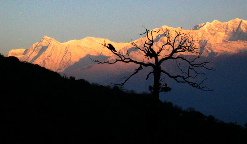 Sonnenaufgang am Poonhill