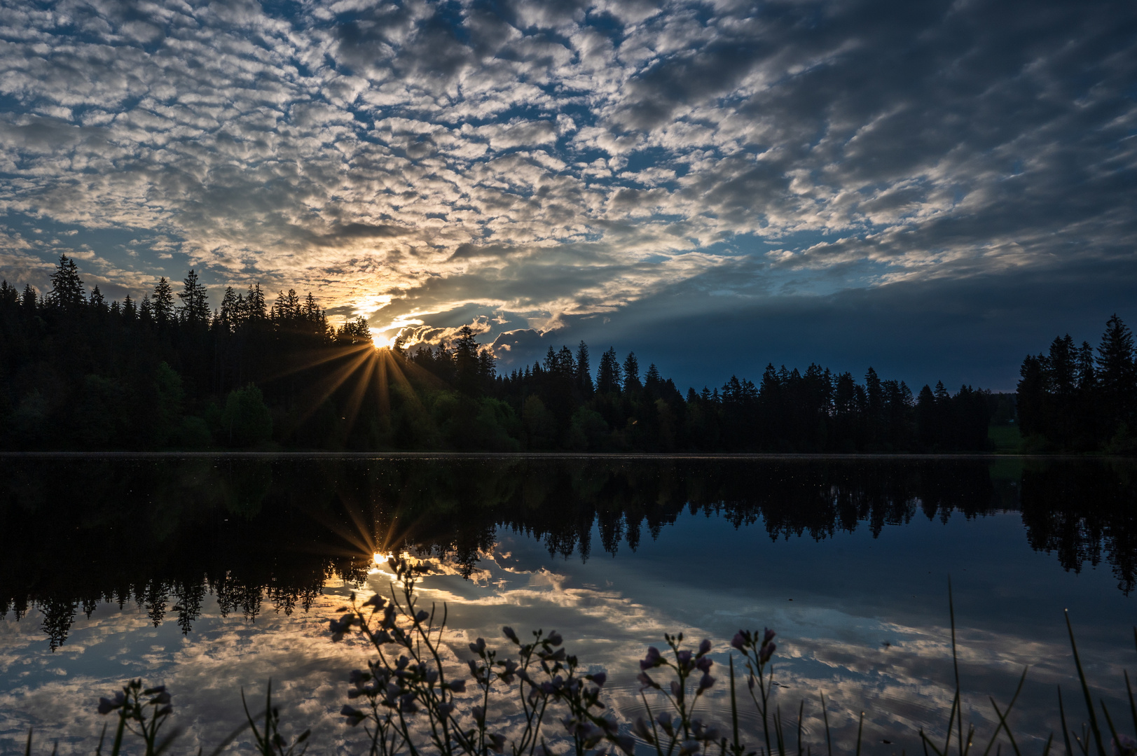 Sonnenaufgang am Prinzenteich