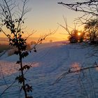 Sonnenaufgang am Rain