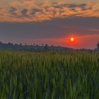 Sonnenaufgang am rande der Stadt Meißen