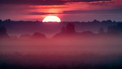 Sonnenaufgang am Rande des Oderdeltas