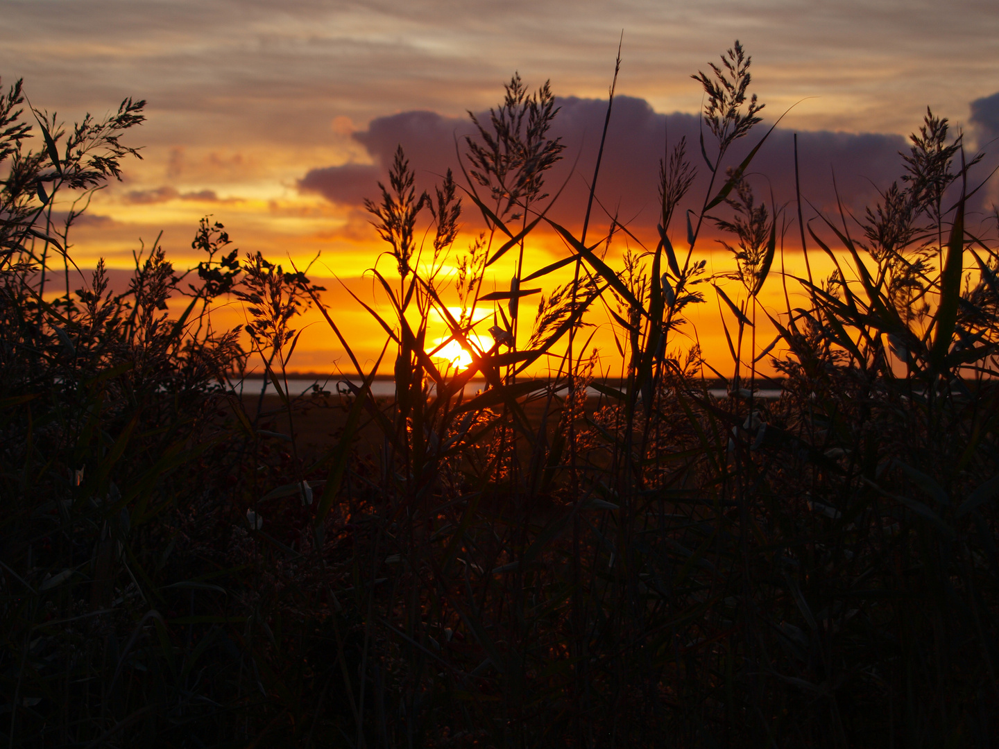 Sonnenaufgang am Rantumbecken