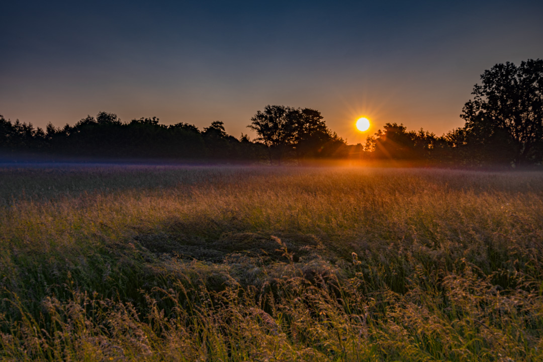 Sonnenaufgang-am-Reinheimer-Teich