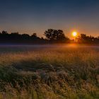 Sonnenaufgang-am-Reinheimer-Teich